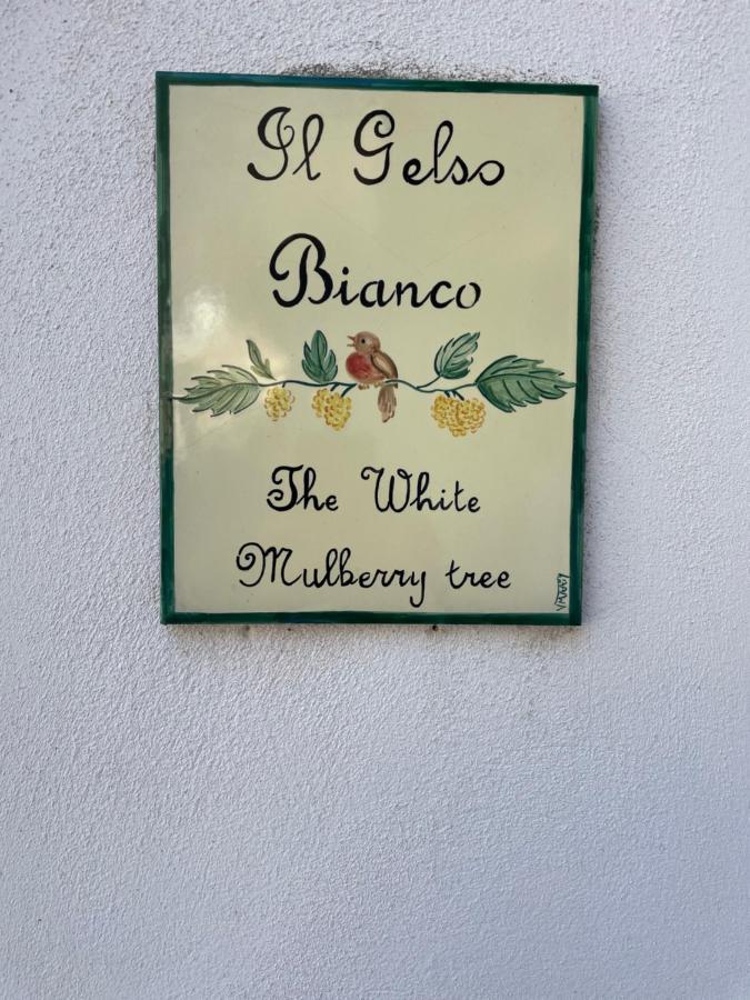 Villa Il Gelso Bianco -The White Mulberry Tree Ravello Exterior foto